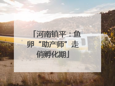 河南镇平：鱼卵“助产师”走俏孵化期